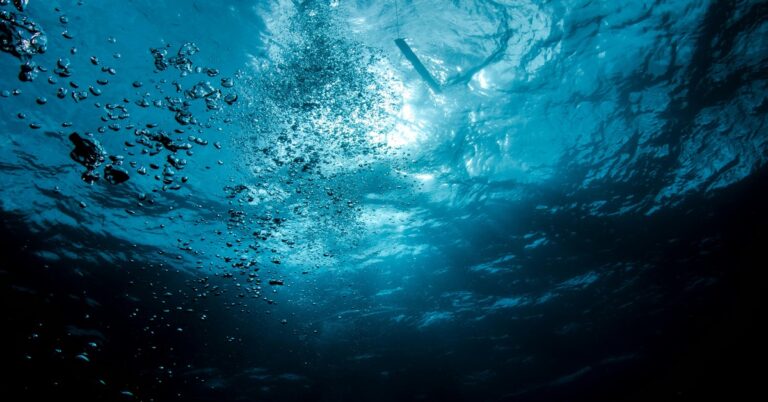 Shallow Water Blackout: Prevention and Awareness for Spearing