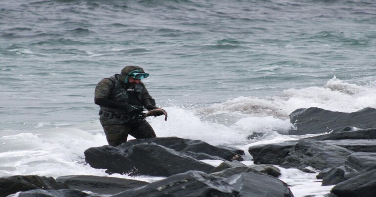 Cold Water vs Warm Water Spearfishing: Key Differences â A Complete Guide