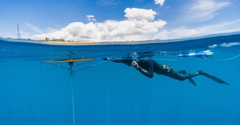 Spearfishing Insurance: A Practical Guide to Why You Might Need It