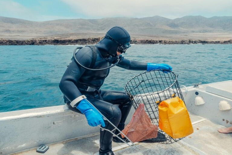 The Responsible Spearfishermanâs Fish Waste Disposal Guide