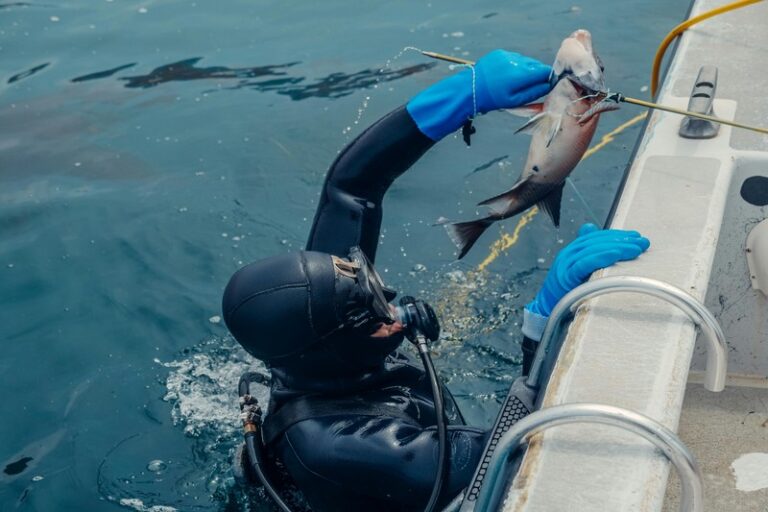 The Ultimate Spearfishing Weight Belt Guide: How to Choose and Use the Right Lead