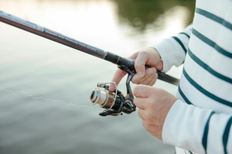 Best Railgun for Spearfishing on the Reef: 8 Top Picks Compared