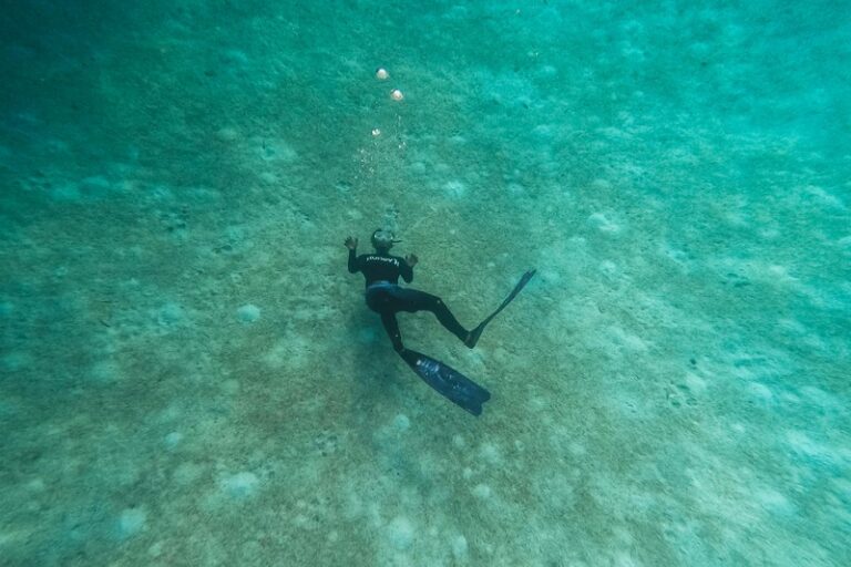 How to Manage Your Heart Rate for Longer Dives in Spearfishing