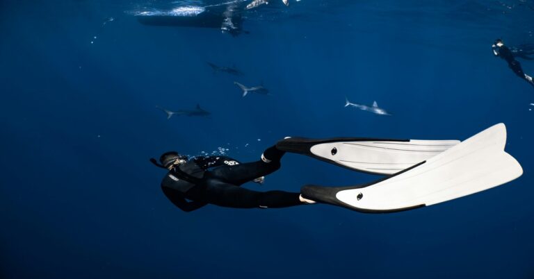 diver-carbon-fiber-spearfishing-fins