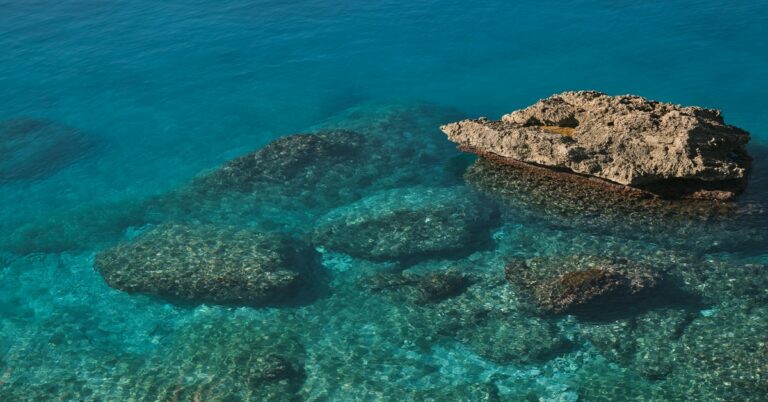 mediterranean-spearfishing-underwater-reef