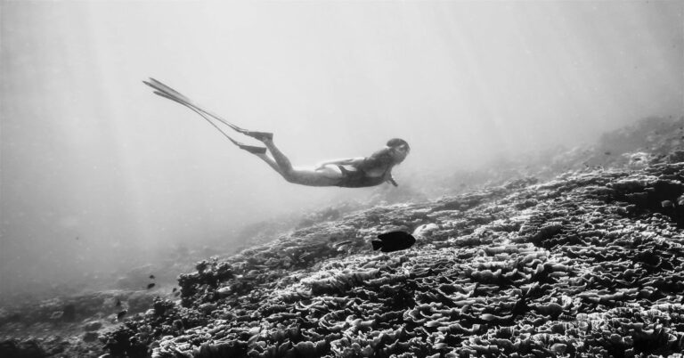 spearfisher-aiming-spear-gun-reef