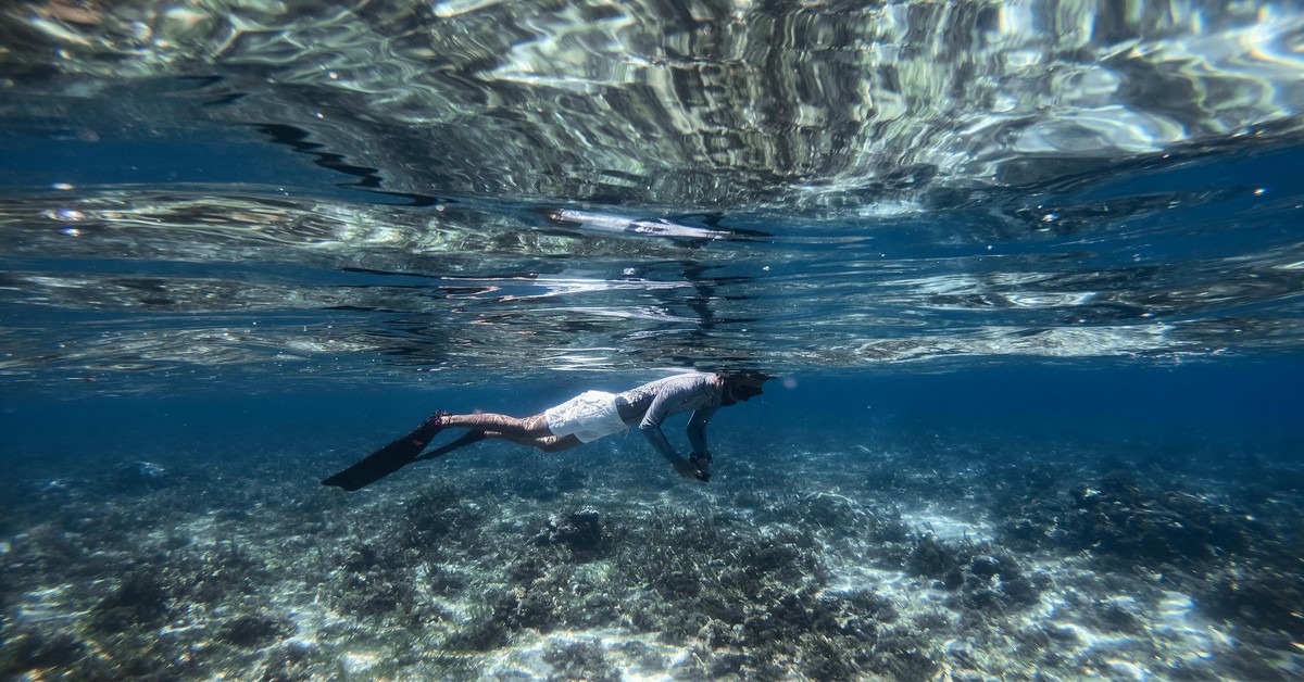 spearfisher-aiming-speargun-underwater-physics
