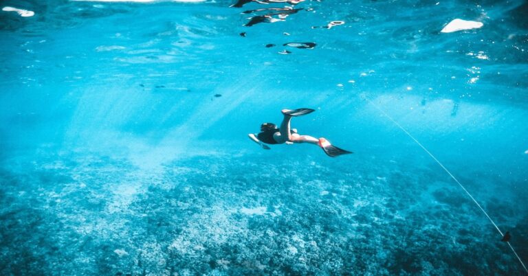 spearfisher-diving-down-clear-water