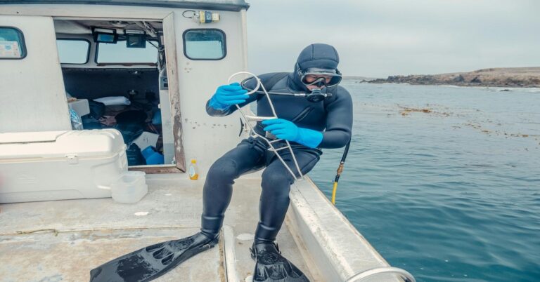 spearfishing-buddy-gear-check-dock