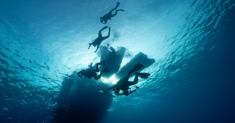 spearfishing-group-diving-ocean