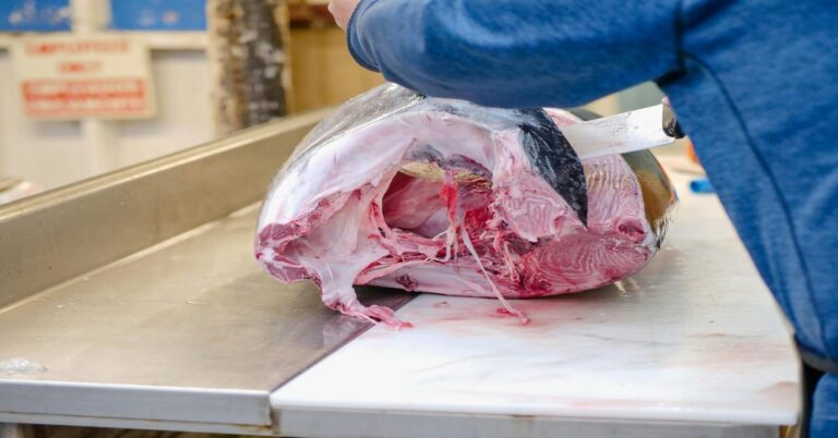 spearfishing-gun-floatline-yellowfin-tuna