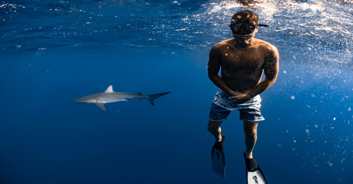 A spearfisherman gliding through clear blue open ocean water with a speargun, looking for pelagic fish.