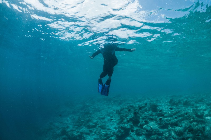 Spearfishing wetsuit comparison