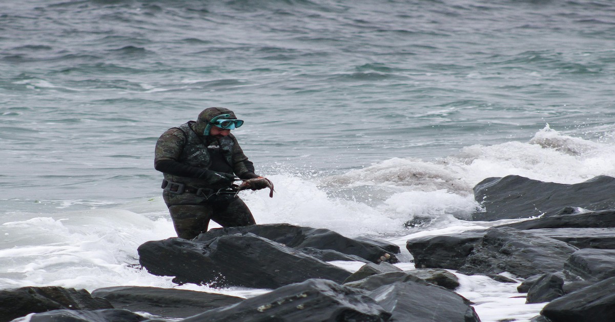 Cold Water vs Warm Water Spearfishing Key Differences â A Complete Guide - cold water spearfishing guide