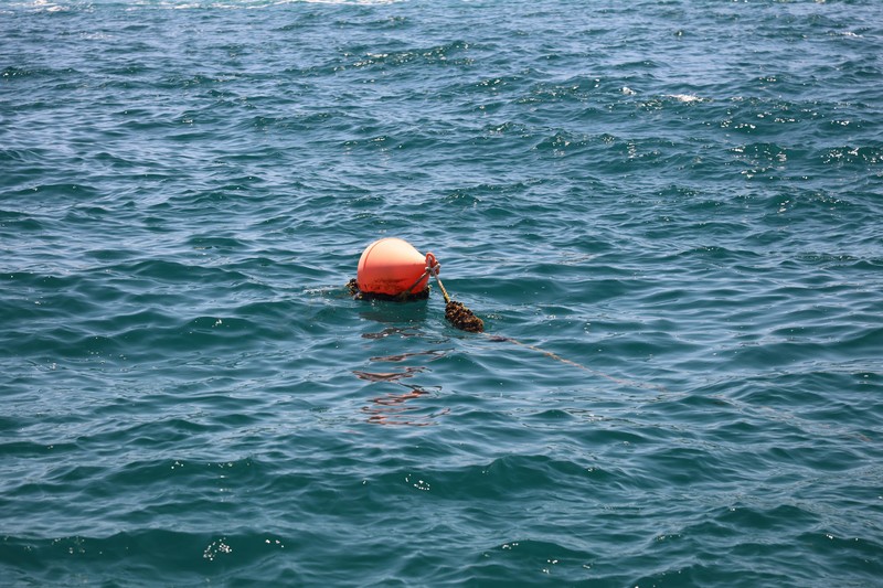 Shallow Water Blackout Prevention and Awareness for Spearing - shallow water blackout spearfishing