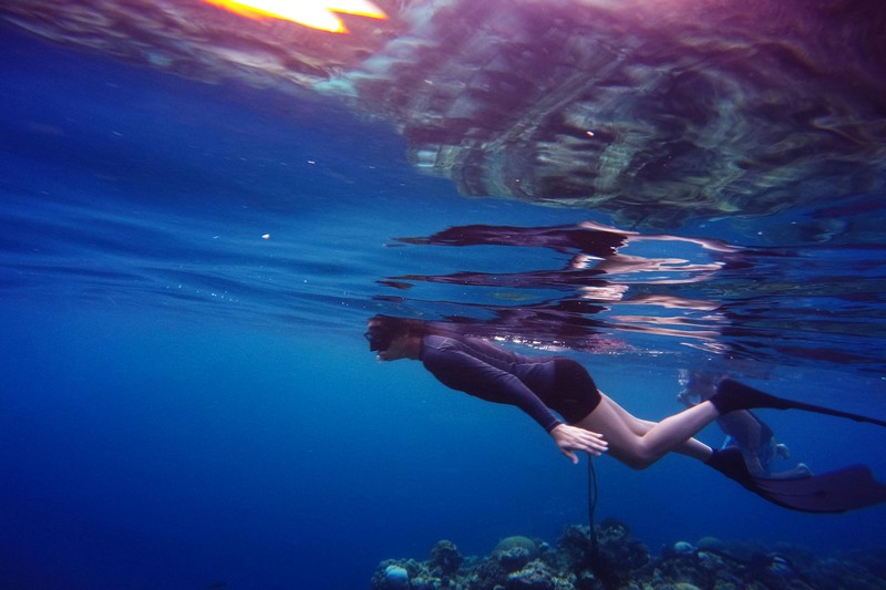 Mastering the Valsalva and Frenzel Maneuvers for Spearfishing - spearfishing equalization maneuvers