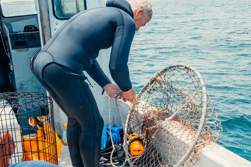 How to Measure Your Fish Correctly for Legal Compliance - measuring fish spearfishing