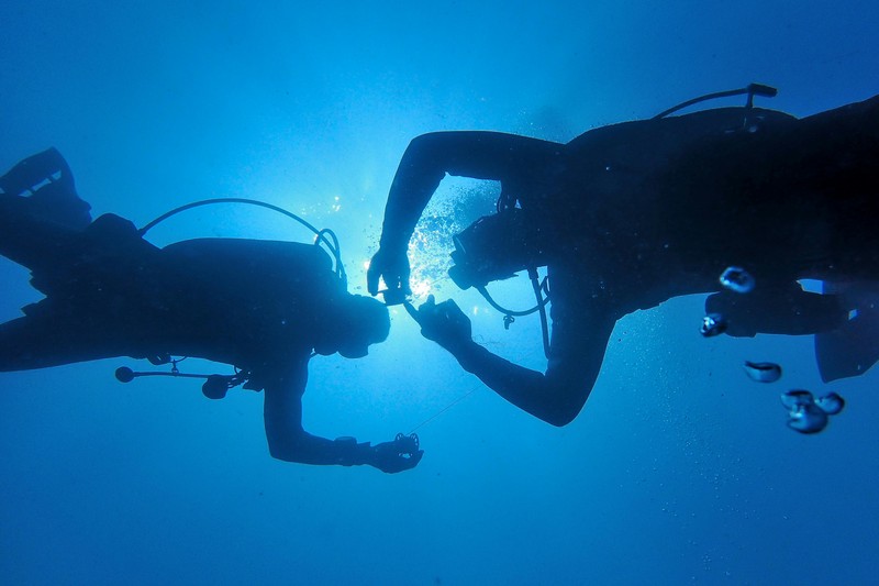 Essential Spearfishing Knives Why You Should Never Dive Without One - best spearfishing knives