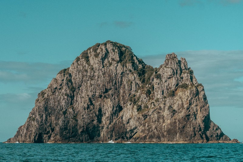 Spearfishing in New Zealand Complete Guide to Targeting Huge Kingfish - spearfishing new zealand