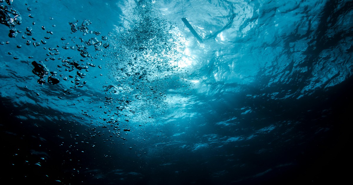Shallow Water Blackout Prevention and Awareness for Spearing - shallow water blackout spearfishing