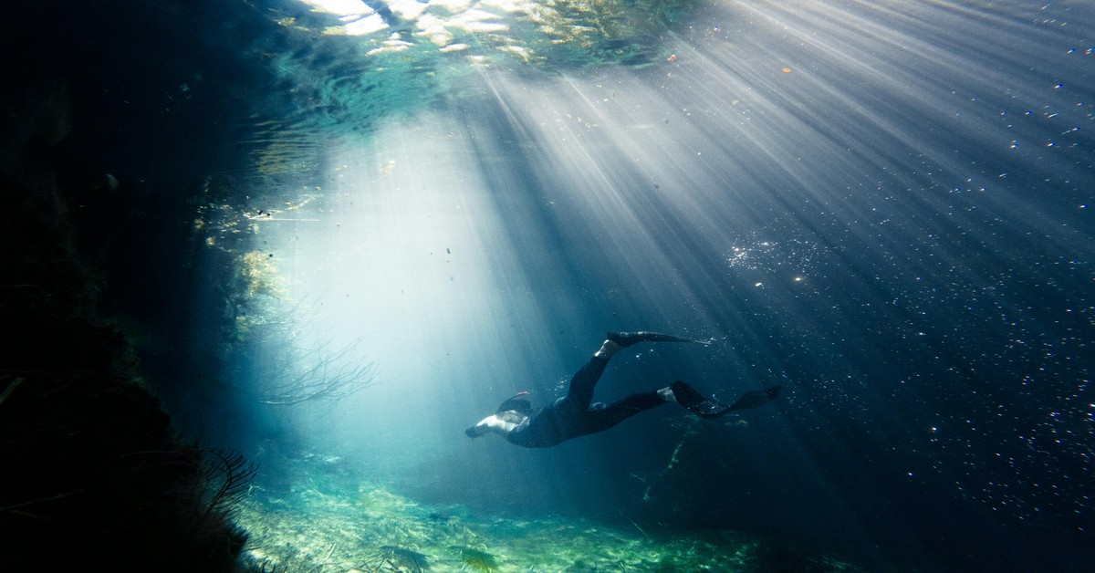 Understanding Pelagic Fish Behavior for Better Spearfishing - pelagic fish behavior spearfishing