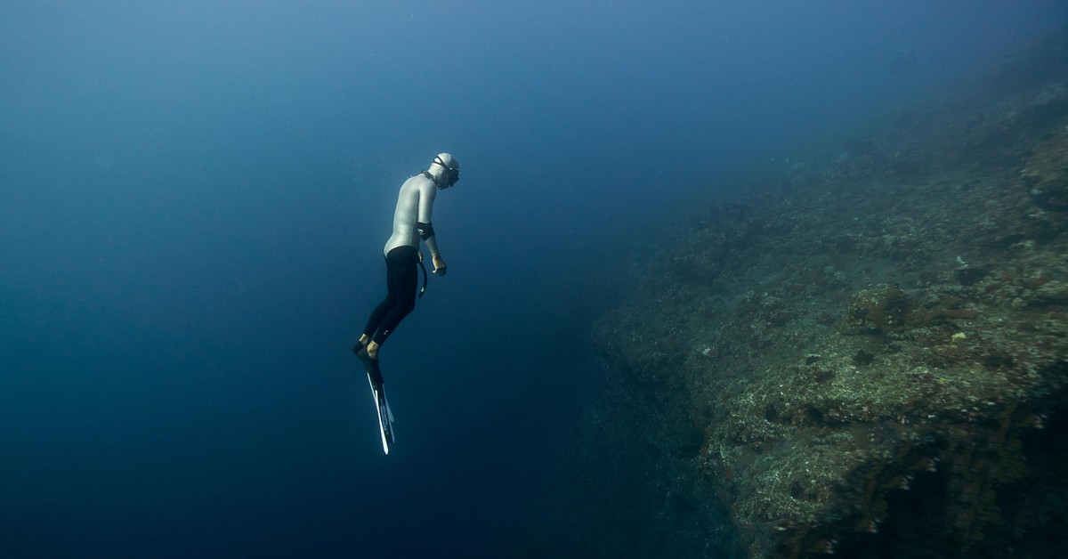 Australia Spearfishing Exploring the Great Barrier Reef - spearfishing australia