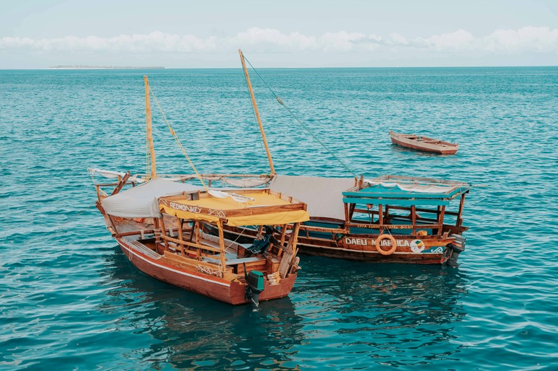 Spearfishing in Zanzibar A Practical Guide to the Spice Islands - spearfishing zanzibar