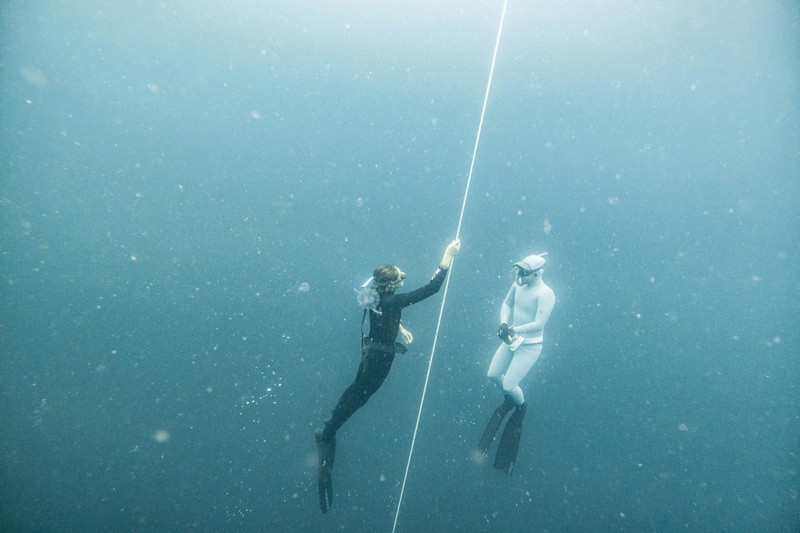 Spearfishing divers maintaining buddy safety protocol underwater