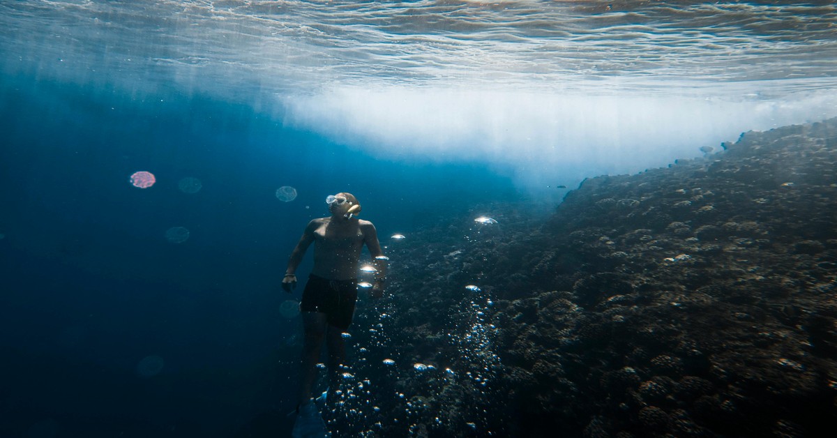 Spearfishing destinations