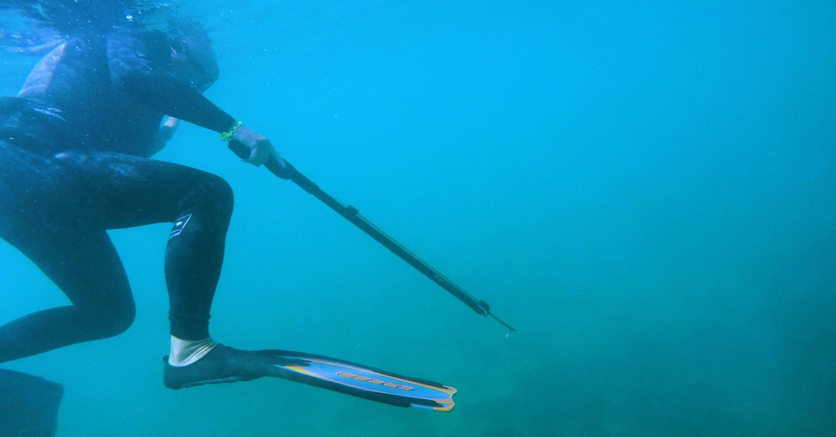How to Measure Your Fish Correctly for Legal Compliance - measuring fish spearfishing