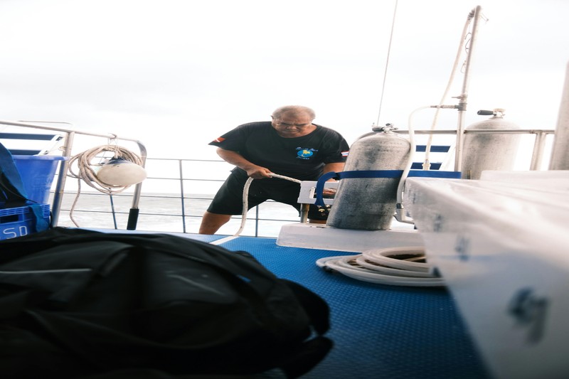 Spearfishing basics and safety